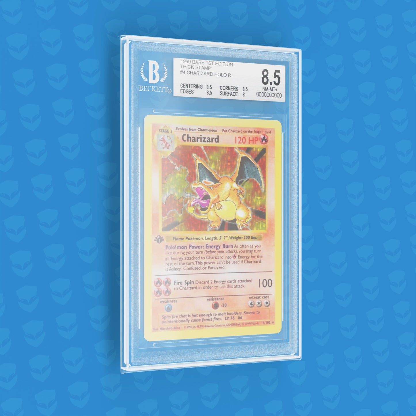 BUSTINE Protettive BGS - SLEEVE MY SEAL